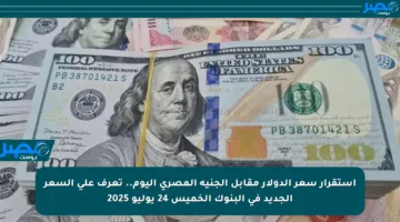 استقرار سعر الدولار مقابل الجنيه المصري اليوم.. تعرف على السعر الجديد في البنوك الخميس 24 يوليو 2025
